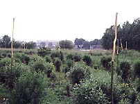 site specific art - an environmental installation - land art sculpture and landscape design - site specific works, installations and projects